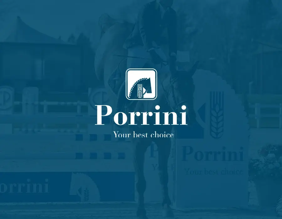 porrini-case-history2024